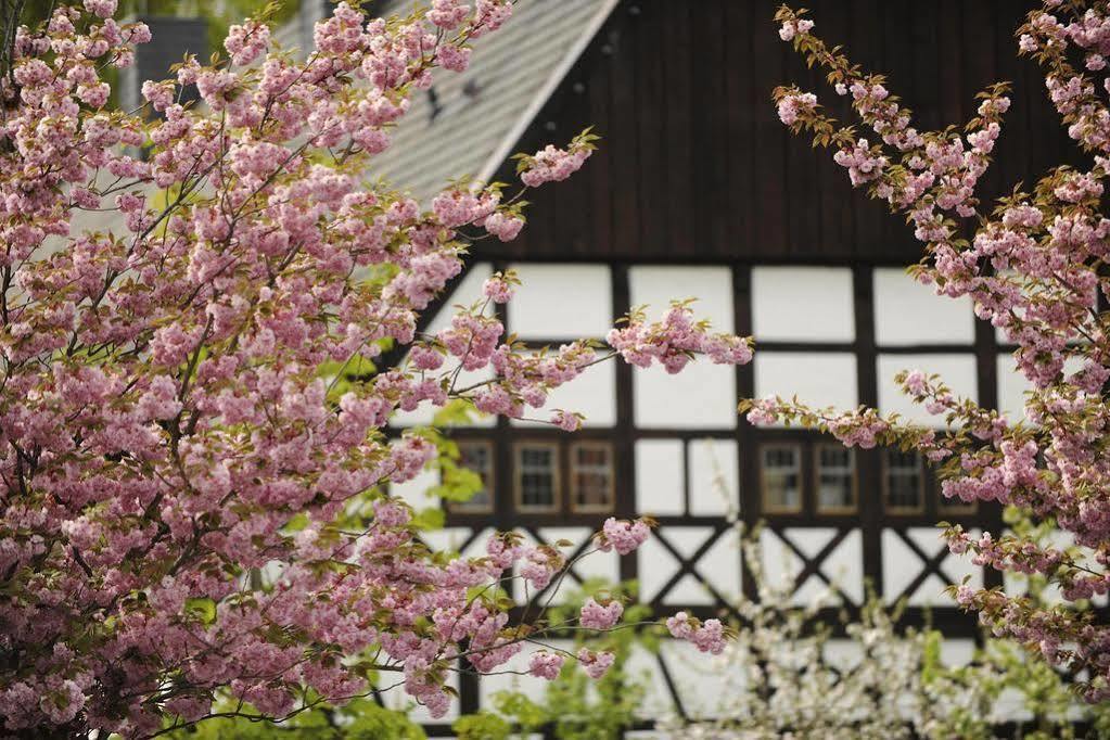 Hof Hueck Hotell Bad Sassendorf Exteriör bild